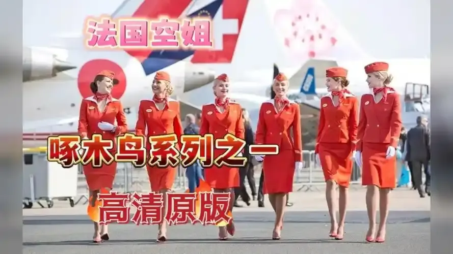 《法国空姐4》免费观看法国完整版-超高清在线观看免费赛尔-法国空姐1999塞尔维亚飞行-资源下载