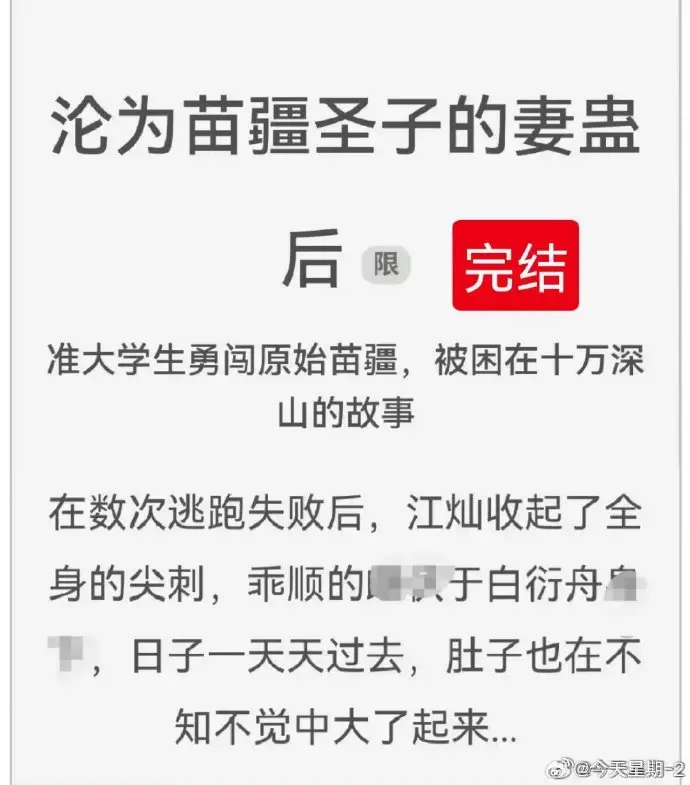 沦为苗疆圣子的妻蛊后狐狸雨txt小说全文免费阅读_沦为苗疆圣子的妻蛊后全集无删减完整版在线看_小说资源分享